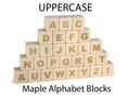 Load image into Gallery viewer, Everwood Friends 28 pc. Uppercase Engraved Alphabet Blocks