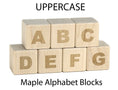 Load image into Gallery viewer, Everwood Friends 28 pc. Uppercase Engraved Alphabet Blocks