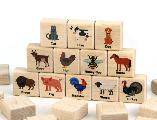 Everwood Friends Farm Animals Color Wooden Matching Game - 24 pc Set