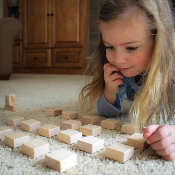 Everwood Friends Farm Animals Color Wooden Matching Game - 24 pc Set