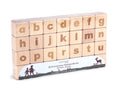 Load image into Gallery viewer, Everwood Friends 28 pc. Lowercase Engraved Alphabet Blocks