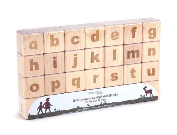 Everwood Friends 28 pc. Lowercase Engraved Alphabet Blocks