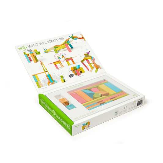 Tegu Magnetic Blocks 24 Piece Set Multicolor