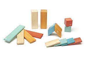 Tegu Magnetic Blocks 24 Piece Set Multicolor