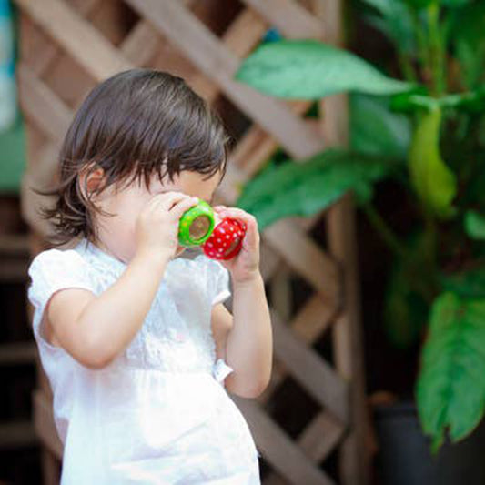 PlanToys Mushroom Kaleidoscope Wooden Waldorf Toy - Random Assorted Colors (Yellow, Green, Red)