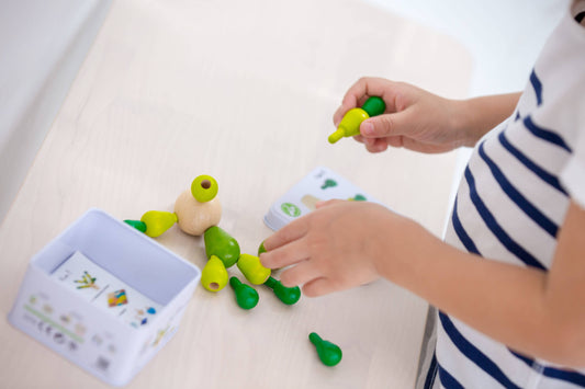 PlanToys Balancing Cactus