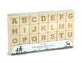 Load image into Gallery viewer, Everwood Friends 28 pc. Uppercase Engraved Alphabet Blocks
