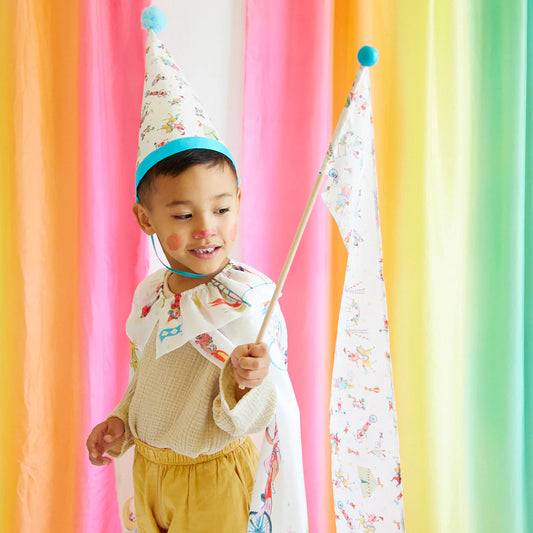 Sarah's Silks Circus Wand