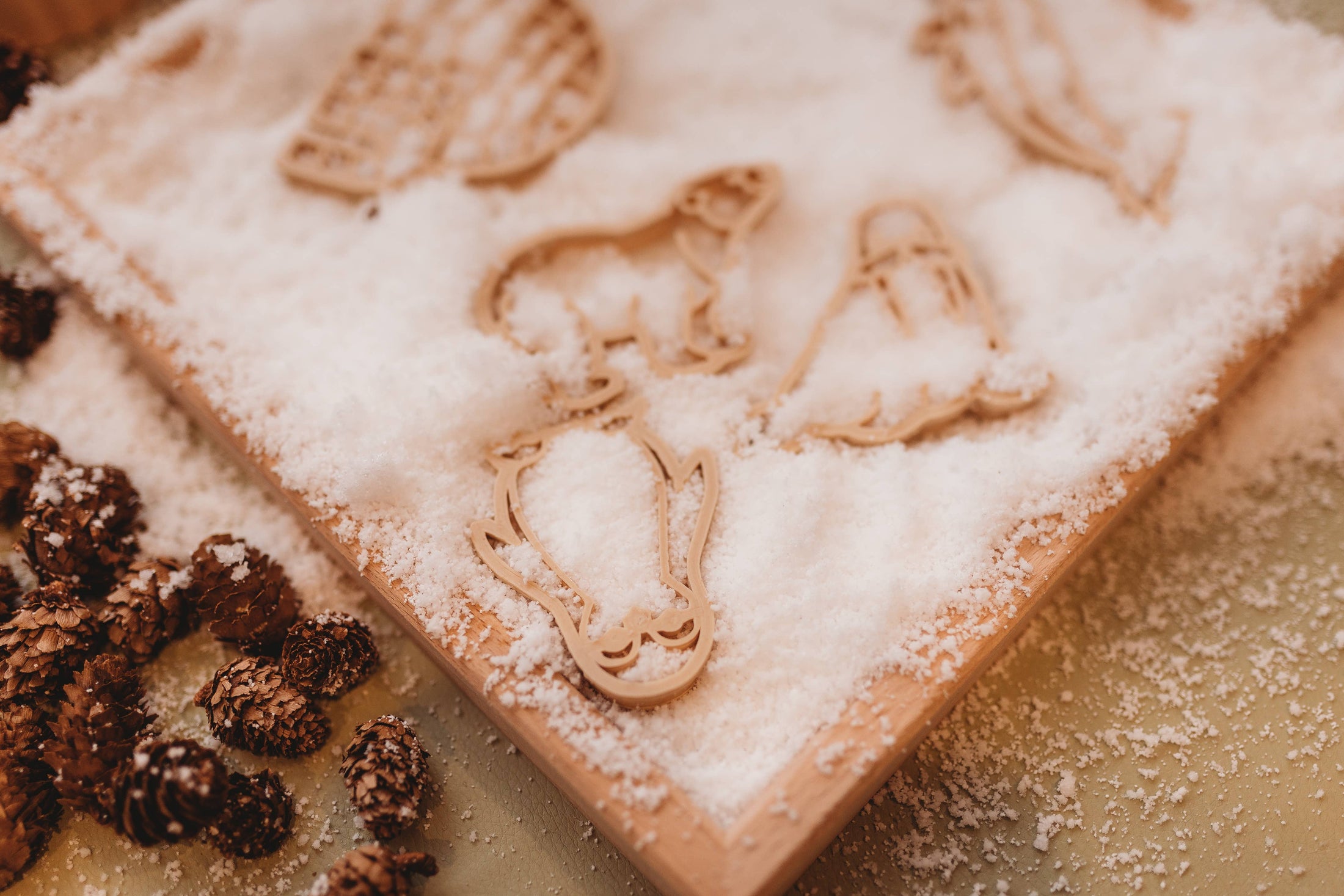 Kinfolk Pantry Mini Arctic Eco Cutter™ Set