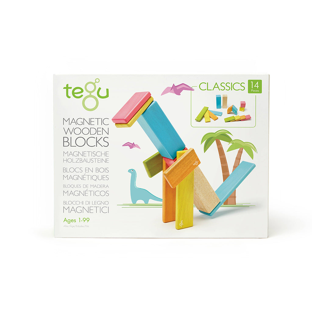 Tegu Magnetic Wood Blocks 14 Pieces