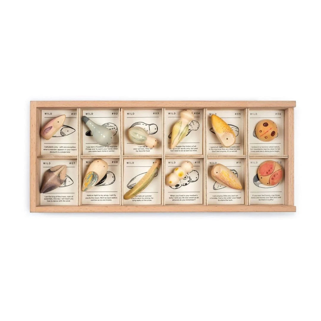 Grapat Wild: Exploration Play Set and Sorting Tray